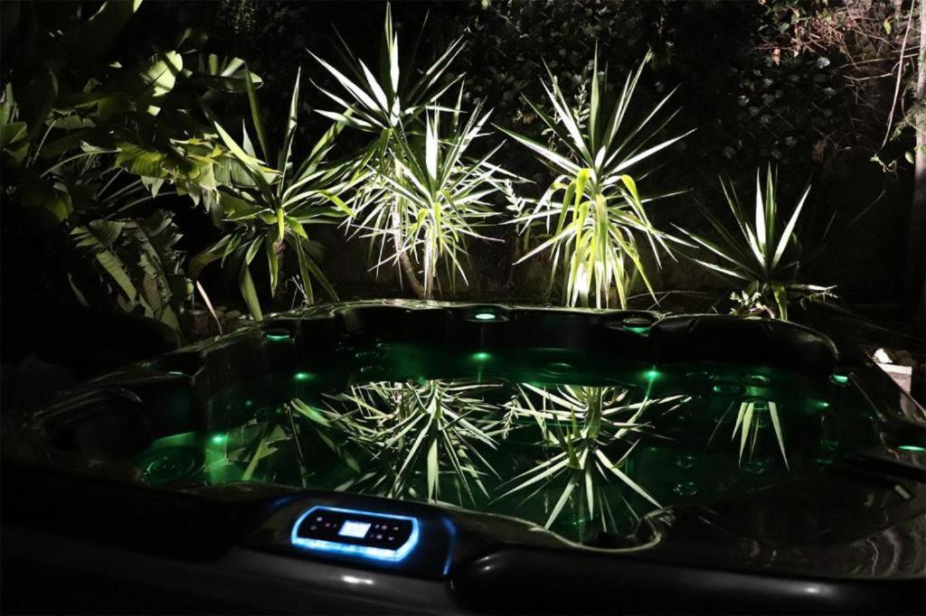 Luxury Jacuzzi & Terraces Dom wakacyjny Malaga
